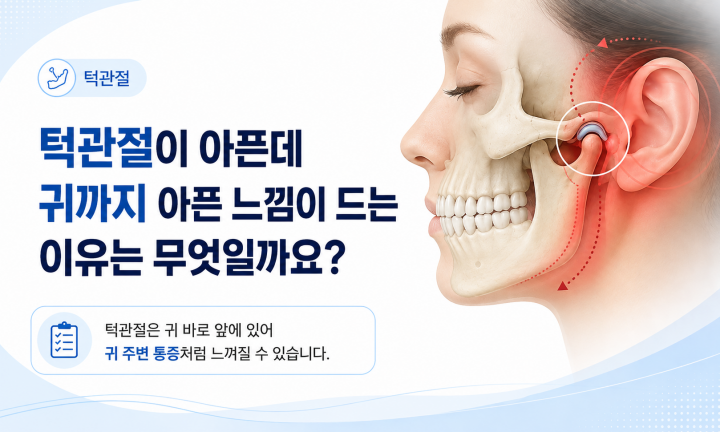 귀 바로 앞에 위치한 턱관절과 귀 주변 통증의 관계를 설명하는 이미지